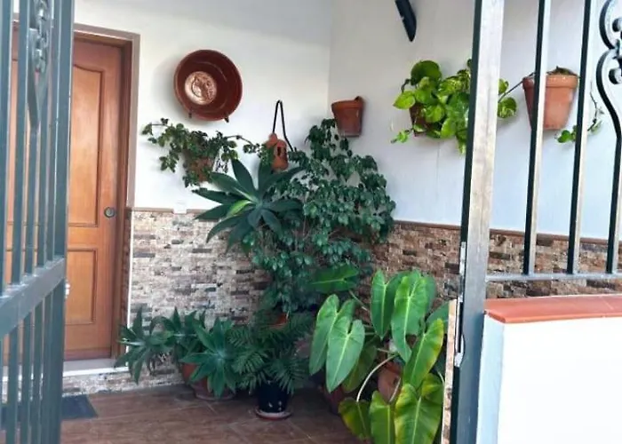 La Costurera