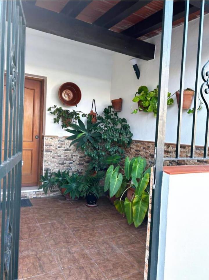 La Costurera Vejer de la Frontera